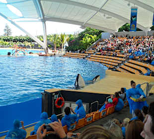 Loro Parque 