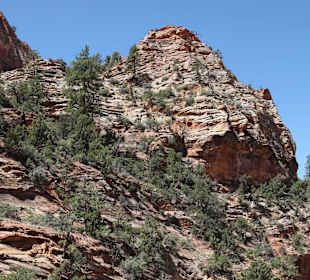 Zion Park