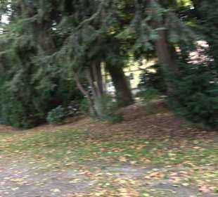 Oscar Groll Anlage Lindau-Insel