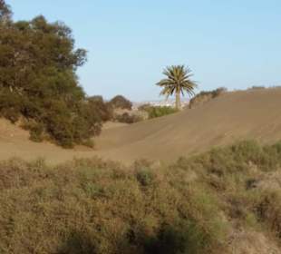 Unser Weg durch die Natur