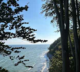 Ausblick