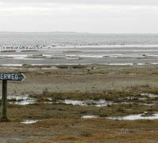 Westumrundung - Watt