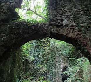 Dschungelbuchfeeling