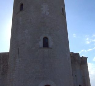 Torre de l’Homenatge
