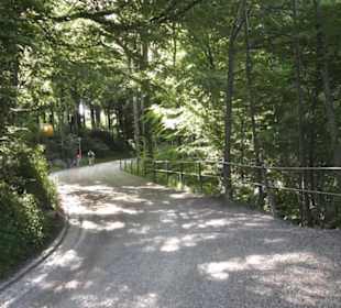 Uetliberg
