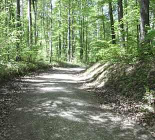 Wanderweg Hochgehwachsen