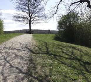 Sport- und Freizeitpark Markwasen