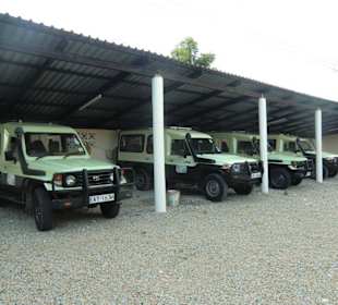 Teil der Land Cruiser Flotte von DM-Tours