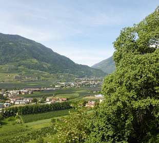 Tappeinerweg nach Meran