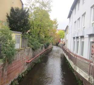 Fest des Federweißen in Landau