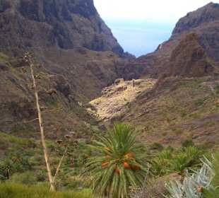 Masca