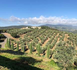 Stadtrundgang Artimino