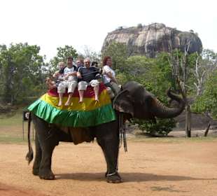 Elefantenreiten 60 min lang