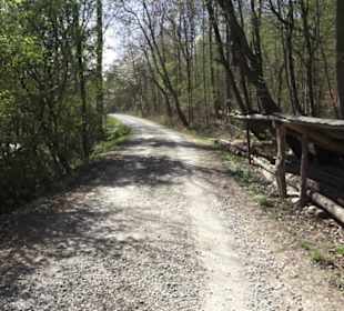 Sport- und Freizeitpark Markwasen