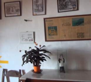 Erzherzog Salvator Raum