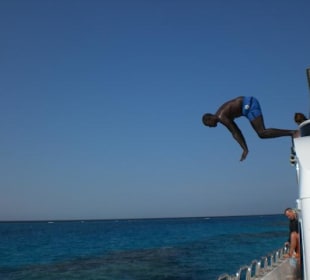 Delfintour
