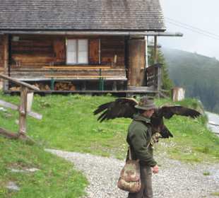Greifvogelschau Hochalm Rauris
