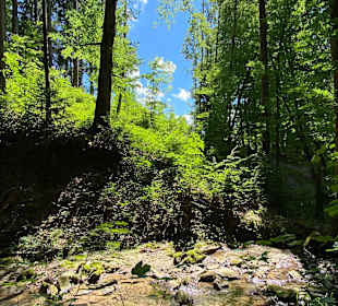 Wandern Oberstaufen