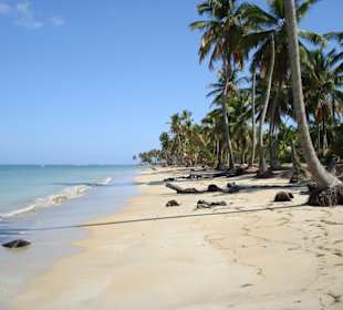 Samana.