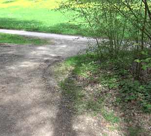 Walderlebnisweg Rottenburg