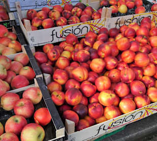 Impressionen vom Marché Cassanyes
