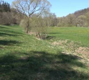 Waldkulturerbe Neuweiler Viehweide