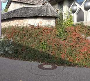 Stadtrundgang Schluchsee