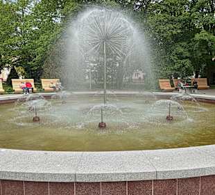 Stadtrundgang Kolobrzeg/Kolberg