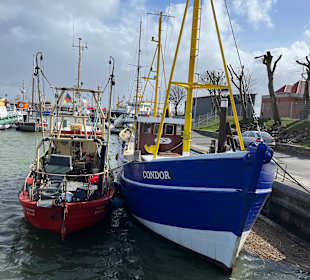 Hafen Büsum