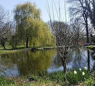 Frühling im Westfalenpark Dortmund