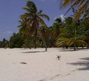 Nochmals der einsame Strand auf Saona