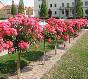 Am Kongreßzentrum