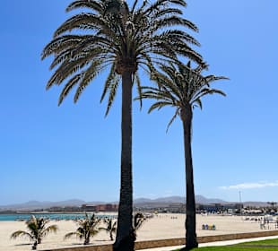 Strand Playa del Castillo