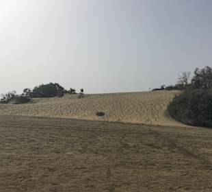 Dünen von Maspalomas