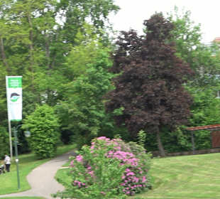 Flößerpfad Loßburg