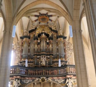 In der Severikirche in Erfurt