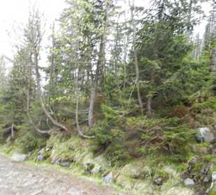 Karkonoski Park Narodowy