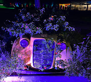 Herbstlichter Brückenkopfpark