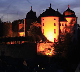 Schloss Gemünden bei Nacht