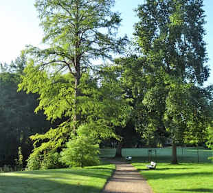 Spaziergang durch den Stadtpark Lübeck