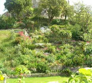 Gartenanlage