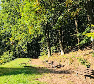 Wandern Dammbach