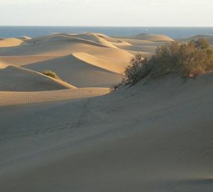 Dunes