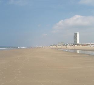 Strand in Zandvoort