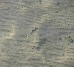 Фото с пирса