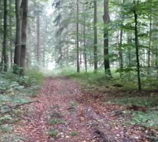 Eninger Weide
