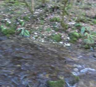 Bad Uracher Wasserfall