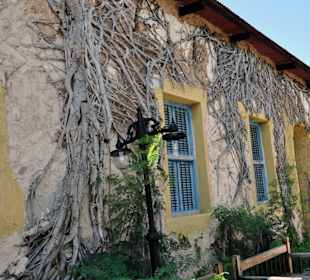 Façade de Prison Island