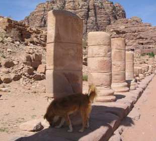 Road of coloumns (roman market)