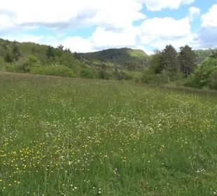 Wanderparkplatz Grundwiese Beuren
